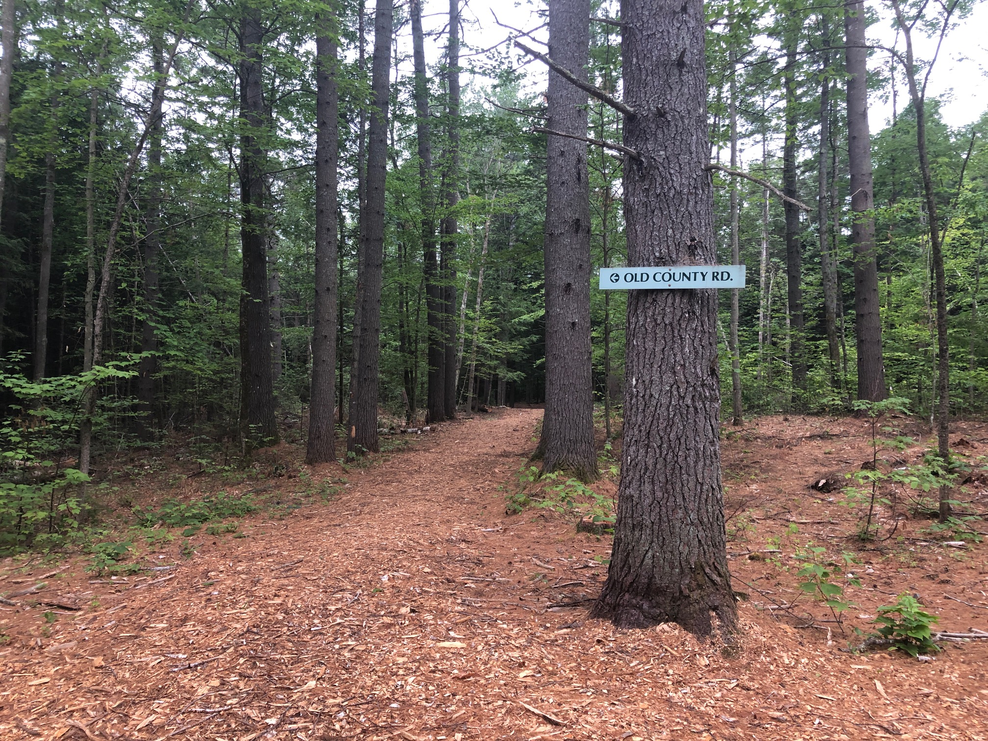 Old Country Road trail